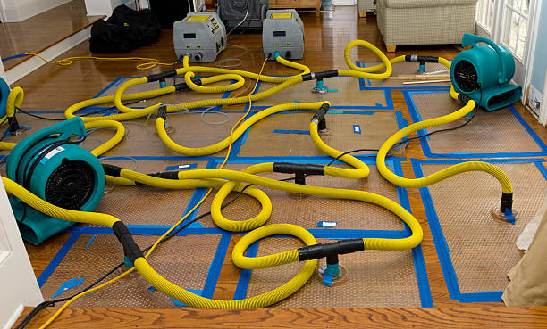 Professional Water Damage Repair technician working in Derwent, OH